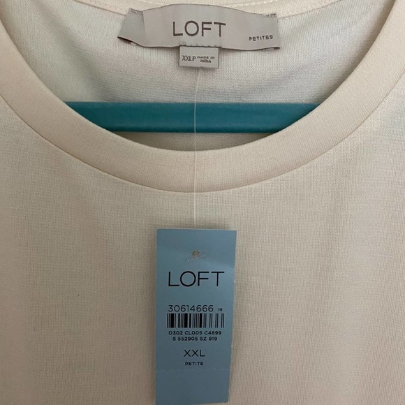 NWT Ann Taylor LOFT Blouse Cream round neck long sheer sleeves Sz Petite XXLP - Picture 3 of 6